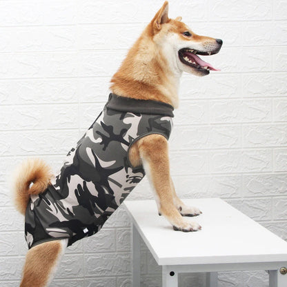 Roupa Pós-Cirúrgica para Cães