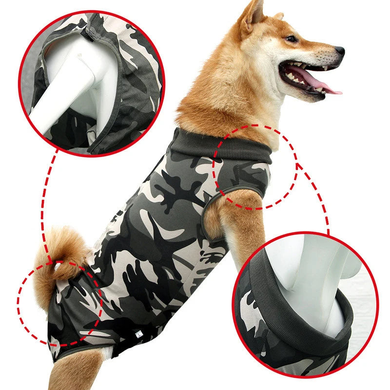 Roupa Pós-Cirúrgica para Cães