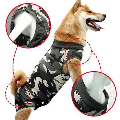 Roupa Pós-Cirúrgica para Cães