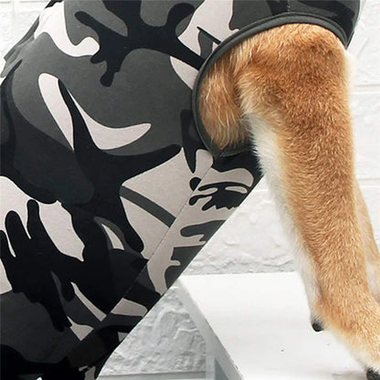 Roupa Pós-Cirúrgica para Cães