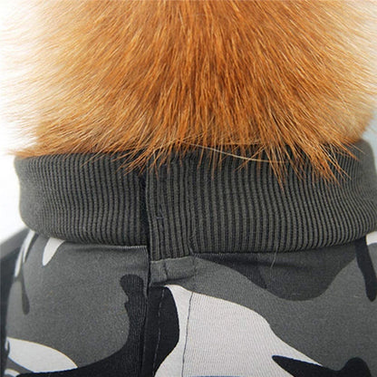 Roupa Pós-Cirúrgica para Cães