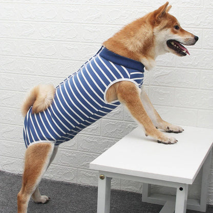 Roupa Pós-Cirúrgica para Cães