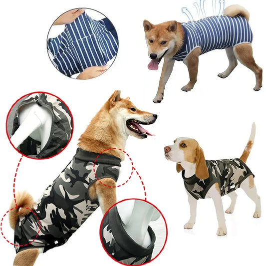 Roupa Pós-Cirúrgica para Cães