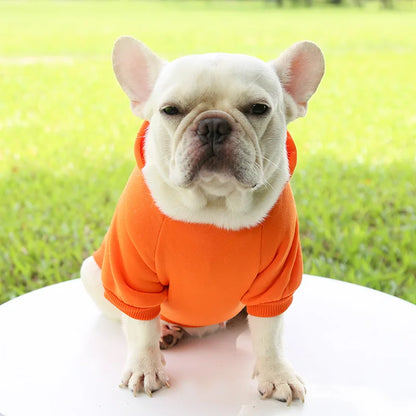 Cheap Dog Hoodie Winter Warm Dog Clothes for Small Medium Dogs French Bulldog Coat Puppy Cat Jacket Chihuahua Yorkie Pet Costume