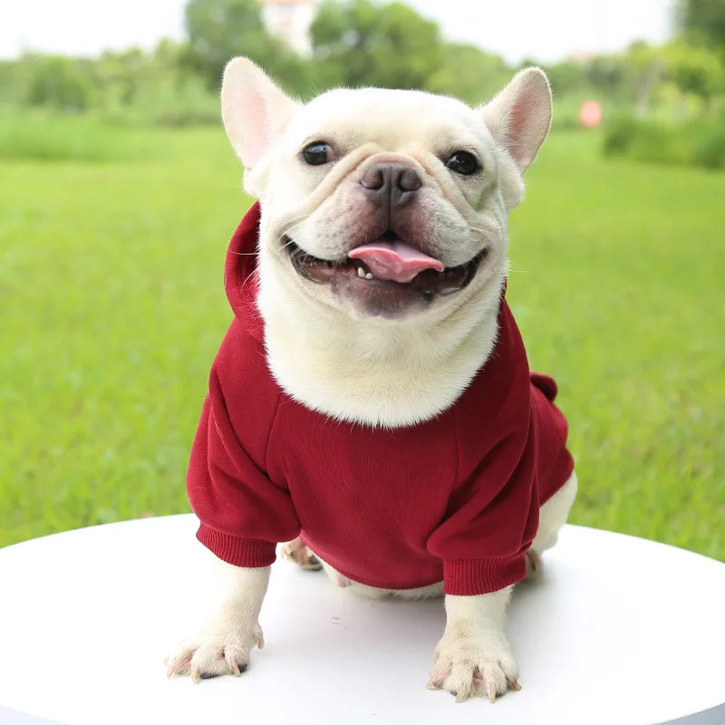 Cheap Dog Hoodie Winter Warm Dog Clothes for Small Medium Dogs French Bulldog Coat Puppy Cat Jacket Chihuahua Yorkie Pet Costume