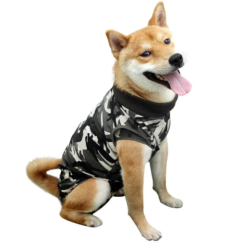 Roupa Pós-Cirúrgica para Cães