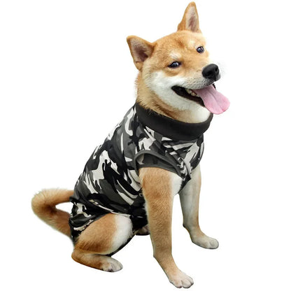 Roupa Pós-Cirúrgica para Cães