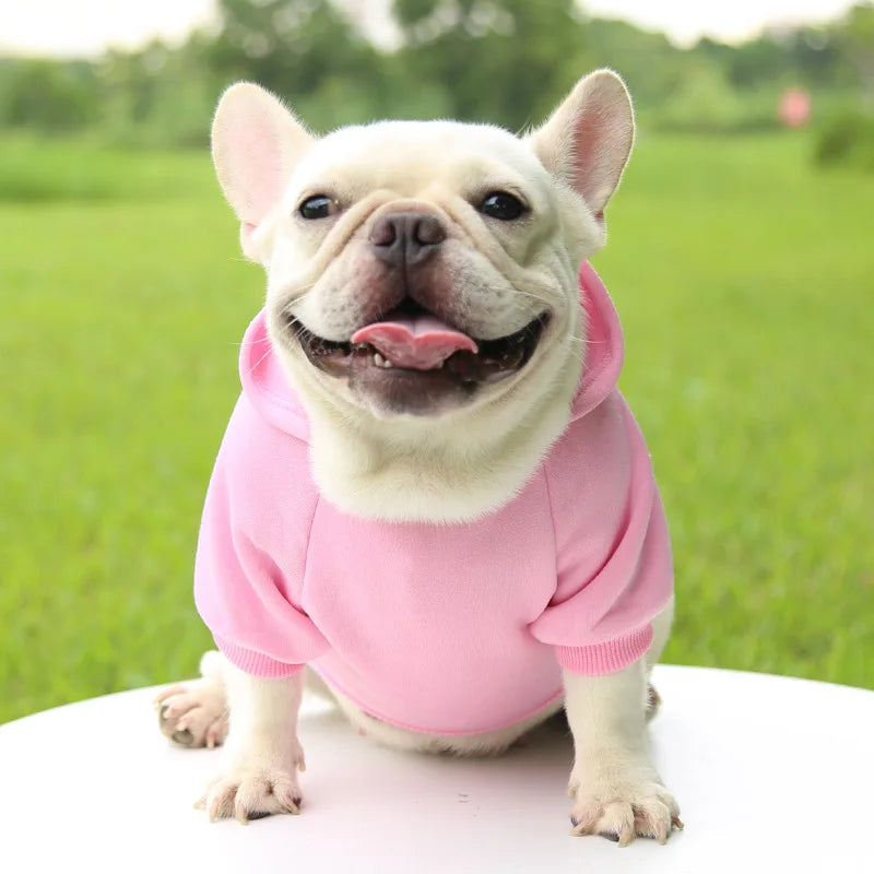 Cheap Dog Hoodie Winter Warm Dog Clothes for Small Medium Dogs French Bulldog Coat Puppy Cat Jacket Chihuahua Yorkie Pet Costume
