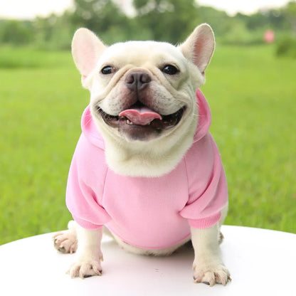 Cheap Dog Hoodie Winter Warm Dog Clothes for Small Medium Dogs French Bulldog Coat Puppy Cat Jacket Chihuahua Yorkie Pet Costume